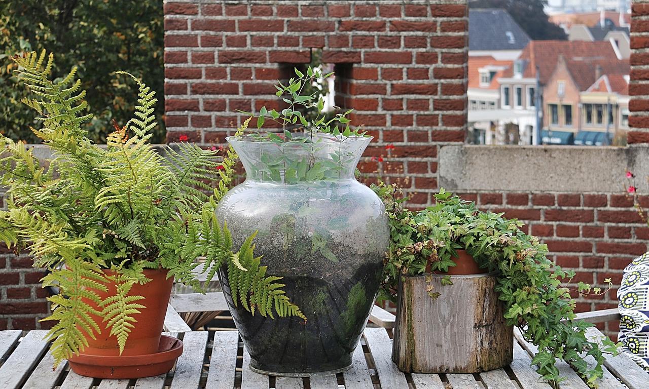 De Pelsertoren Zwolle  Esterno foto